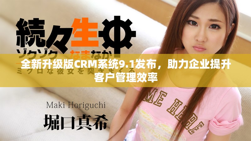 全新升级版CRM系统9.1发布，助力企业提升客户管理效率