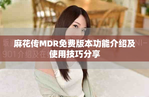 麻花传MDR免费版本功能介绍及使用技巧分享