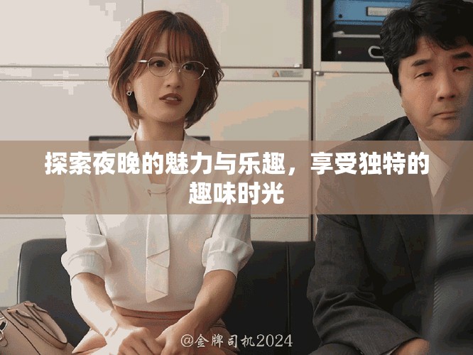 探索夜晚的魅力与乐趣，享受独特的趣味时光