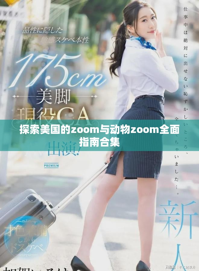 探索美国的zoom与动物zoom全面指南合集