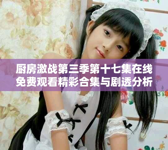 厨房激战第三季第十七集在线免费观看精彩合集与剧透分析