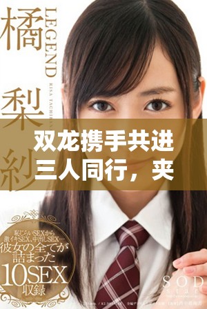 双龙携手共进三人同行，夹心饼的美味探索之旅
