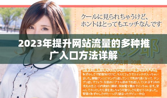 2023年提升网站流量的多种推广入口方法详解