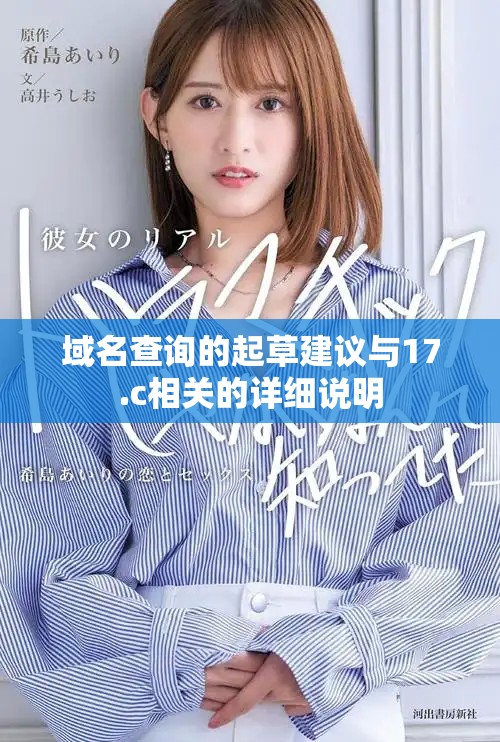 域名查询的起草建议与17.c相关的详细说明
