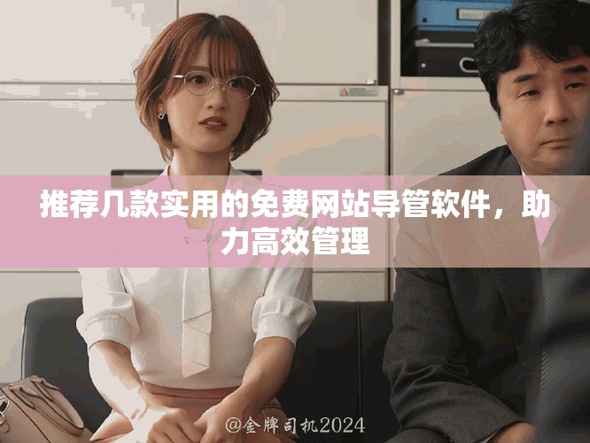推荐几款实用的免费网站导管软件，助力高效管理