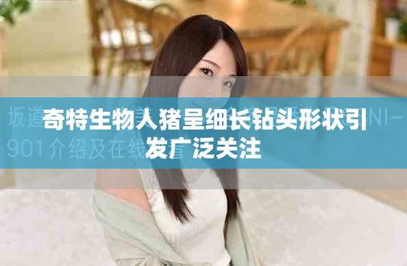 奇特生物人猪呈细长钻头形状引发广泛关注