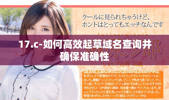 17.c-如何高效起草域名查询并确保准确性