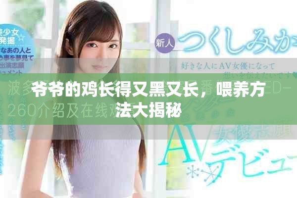 爷爷的鸡长得又黑又长，喂养方法大揭秘