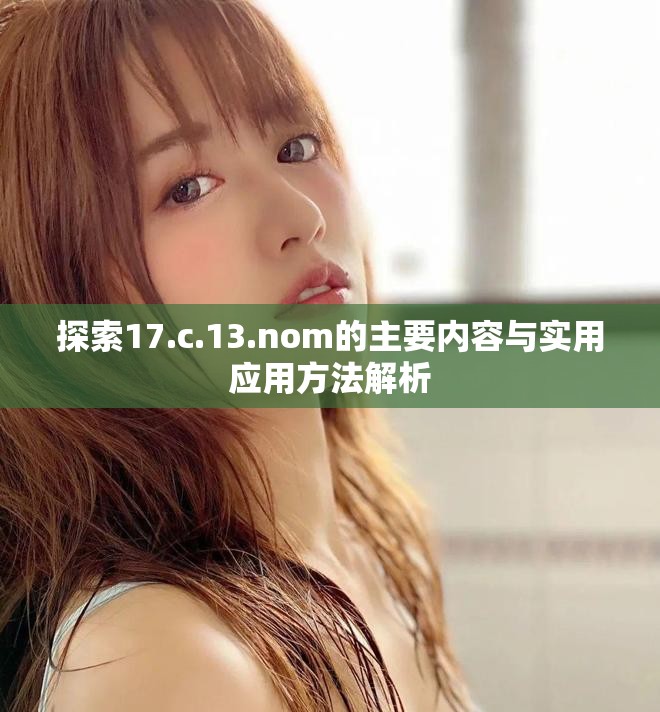 探索17.c.13.nom的主要内容与实用应用方法解析
