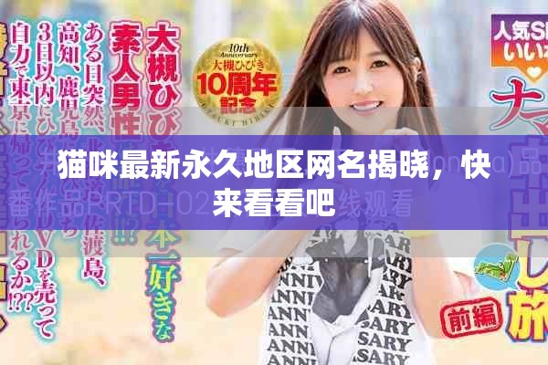 猫咪最新永久地区网名揭晓，快来看看吧
