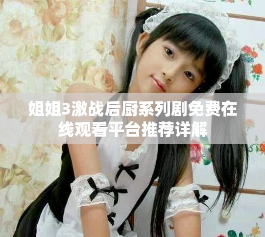 姐姐3激战后厨系列剧免费在线观看平台推荐详解