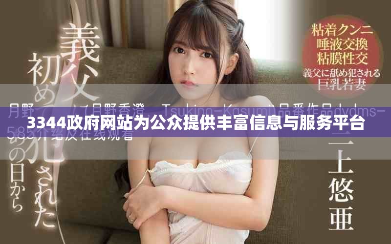 3344政府网站为公众提供丰富信息与服务平台