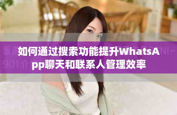 如何通过搜索功能提升WhatsApp聊天和联系人管理效率