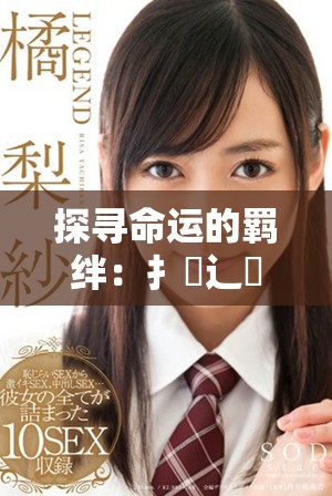 探寻命运的羁绊：扌喿辶畐中的故事与情感交织