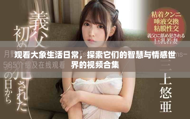 观看大象生活日常，探索它们的智慧与情感世界的视频合集