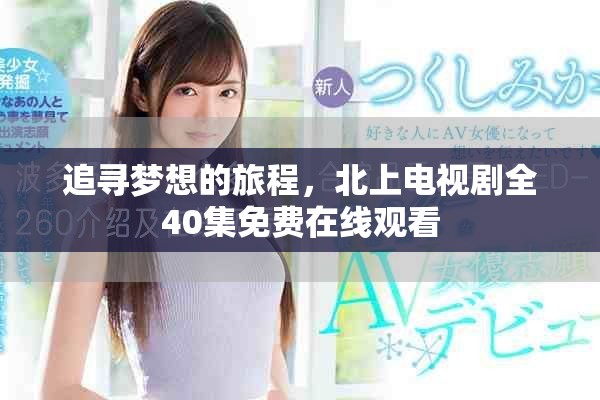 追寻梦想的旅程，北上电视剧全40集免费在线观看