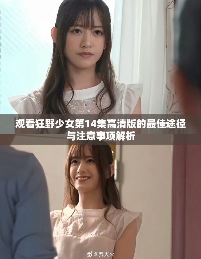 观看狂野少女第14集高清版的最佳途径与注意事项解析