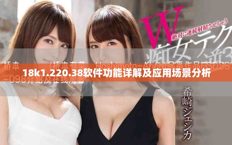 18k1.220.38软件功能详解及应用场景分析