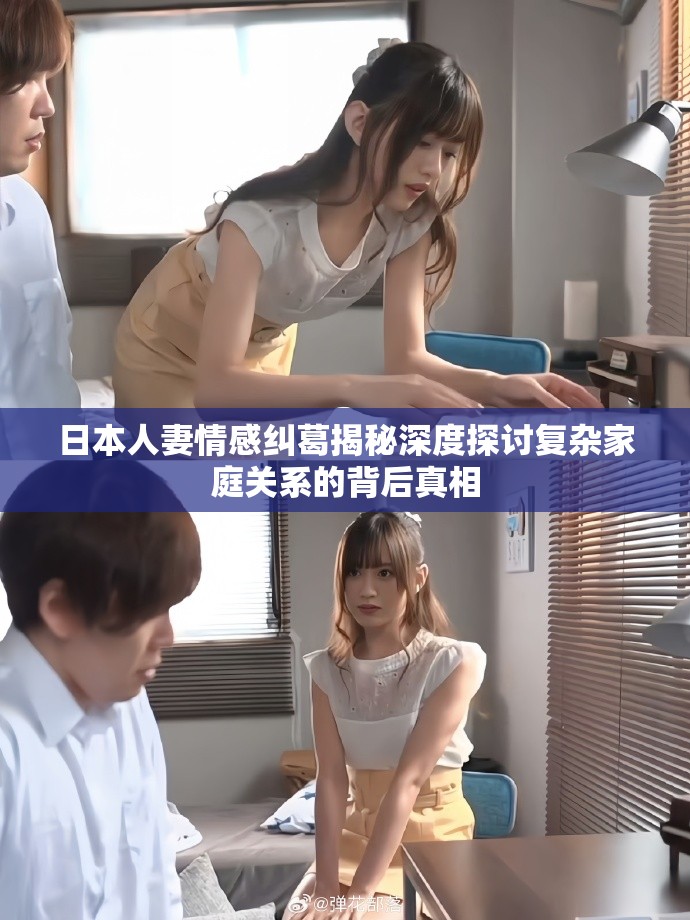 日本人妻情感纠葛揭秘深度探讨复杂家庭关系的背后真相
