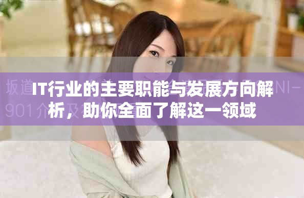 IT行业的主要职能与发展方向解析，助你全面了解这一领域