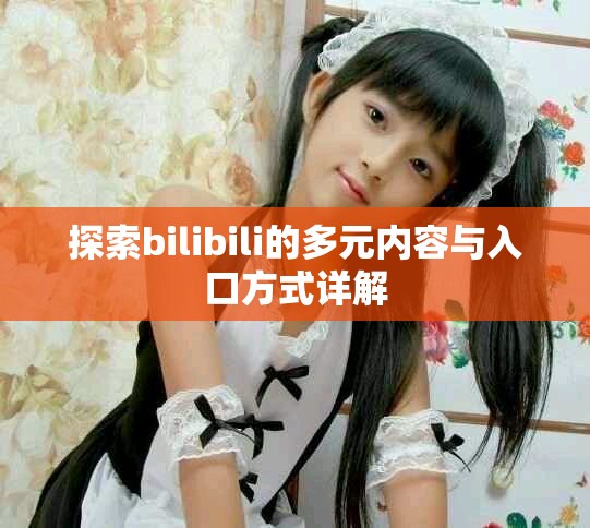 探索bilibili的多元内容与入口方式详解
