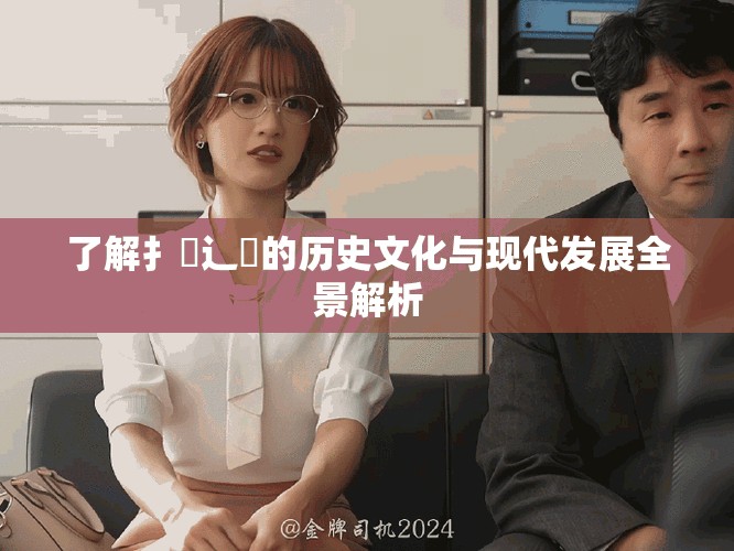 了解扌喿辶畐的历史文化与现代发展全景解析