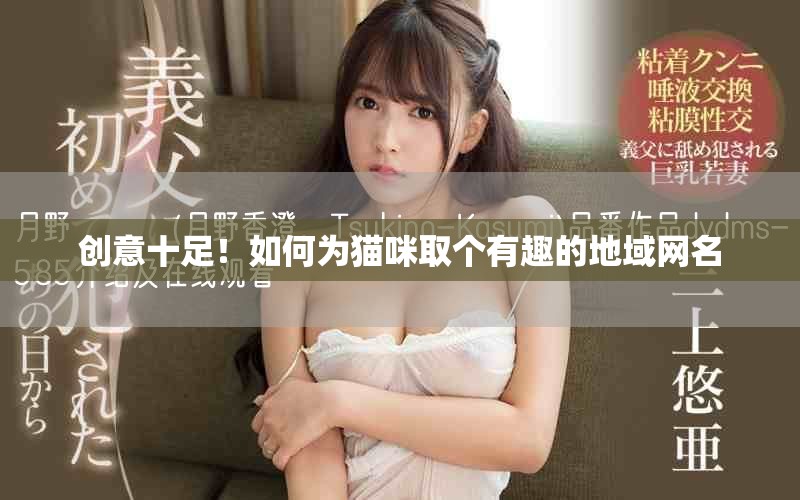 创意十足！如何为猫咪取个有趣的地域网名