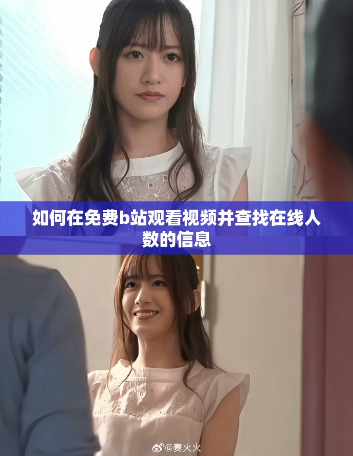 如何在免费b站观看视频并查找在线人数的信息