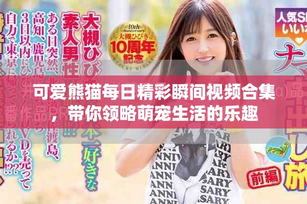 可爱熊猫每日精彩瞬间视频合集，带你领略萌宠生活的乐趣