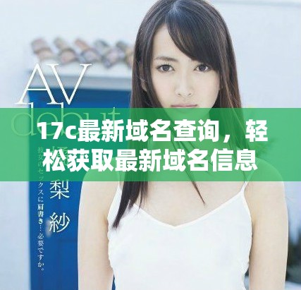 17c最新域名查询，轻松获取最新域名信息技巧分享