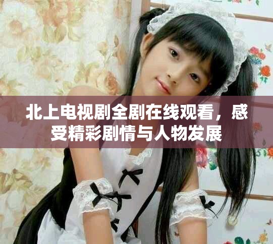 北上电视剧全剧在线观看，感受精彩剧情与人物发展