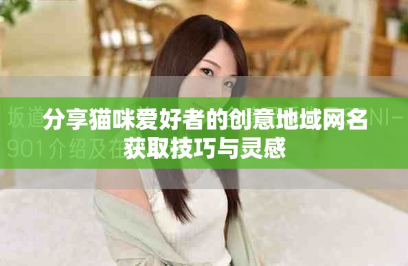 分享猫咪爱好者的创意地域网名获取技巧与灵感