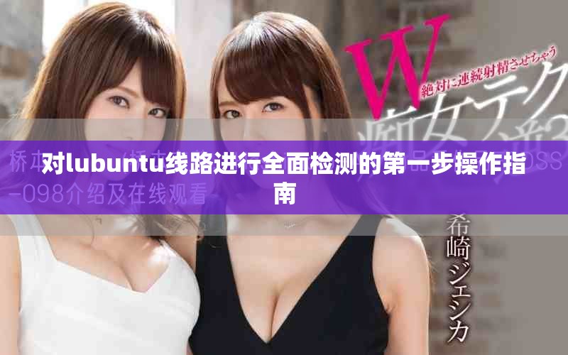 对lubuntu线路进行全面检测的第一步操作指南