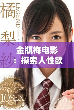 金瓶梅电影：探索人性欲望与道德边界的经典之作