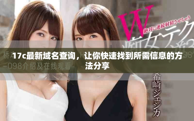 17c最新域名查询，让你快速找到所需信息的方法分享