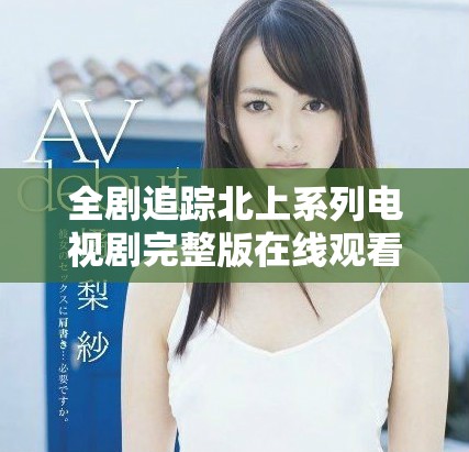 全剧追踪北上系列电视剧完整版在线观看全景体验