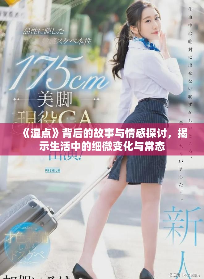 《湿点》背后的故事与情感探讨，揭示生活中的细微变化与常态