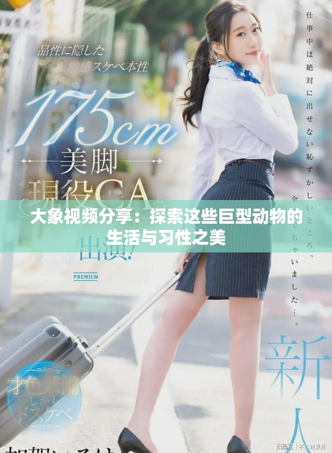 大象视频分享：探索这些巨型动物的生活与习性之美