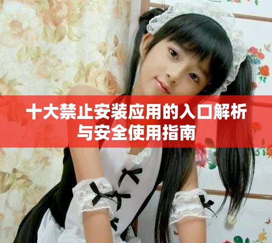 十大禁止安装应用的入口解析与安全使用指南