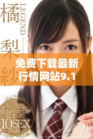 免费下载最新行情网站9.1版并快速安装使用指南