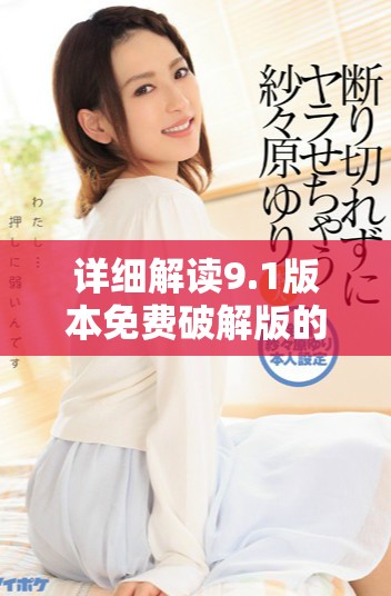 详细解读9.1版本免费破解版的下载安装流程