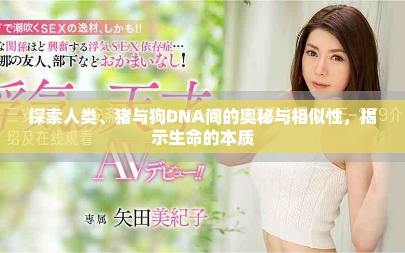 探索人类、猪与狗DNA间的奥秘与相似性，揭示生命的本质