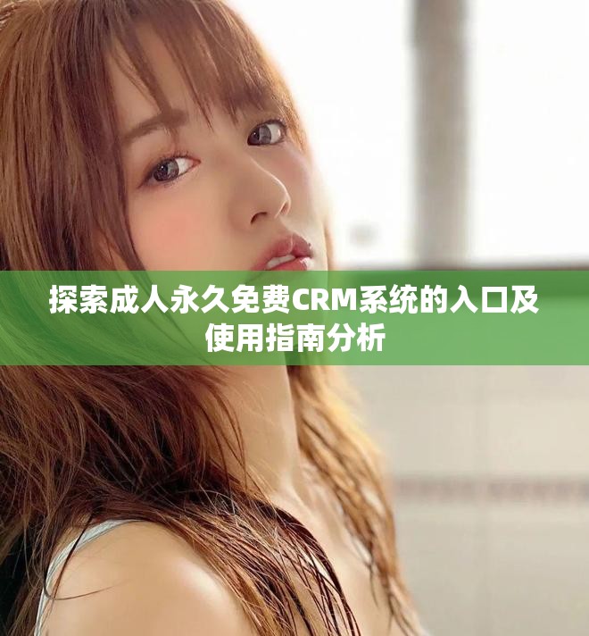 探索成人永久免费CRM系统的入口及使用指南分析