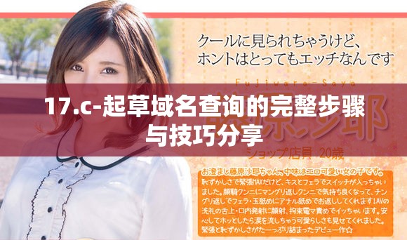 17.c-起草域名查询的完整步骤与技巧分享