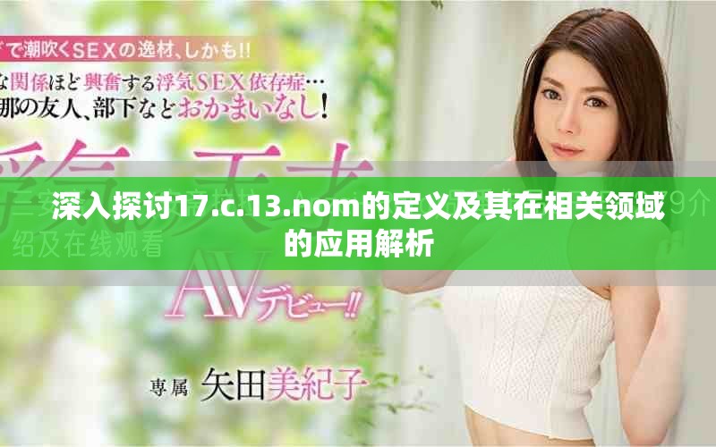 深入探讨17.c.13.nom的定义及其在相关领域的应用解析