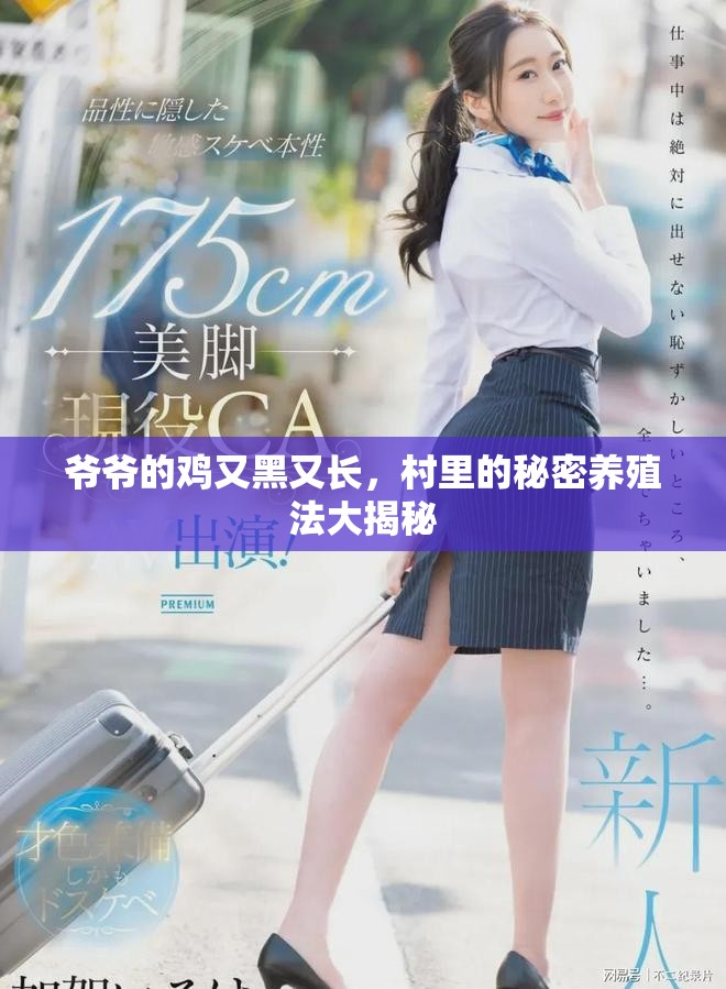 爷爷的鸡又黑又长，村里的秘密养殖法大揭秘