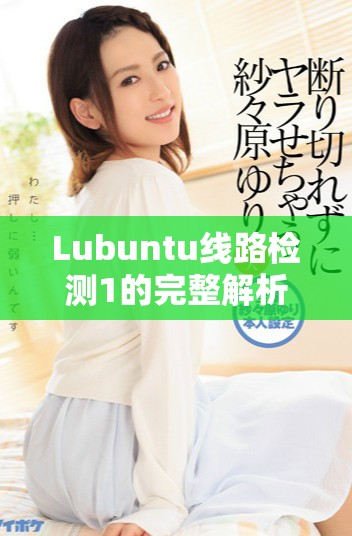 Lubuntu线路检测1的完整解析与应用指南