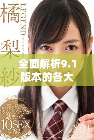 全面解析9.1版本的各大网站平台提升策略与优化方法