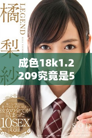 成色18k1.2209究竟是5G还是4G网络的支持情况分析