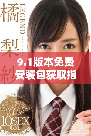 9.1版本免费安装包获取指南与下载方式介绍